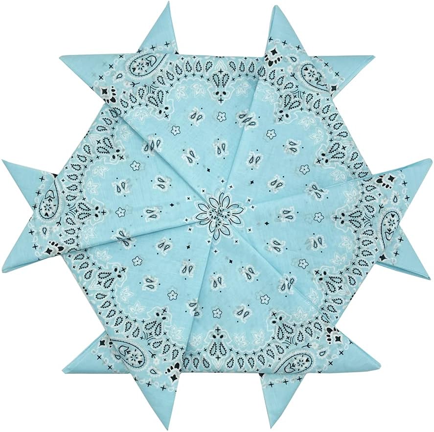 Light Blue Paisley Cotton Bandana 22" From HankieWorld