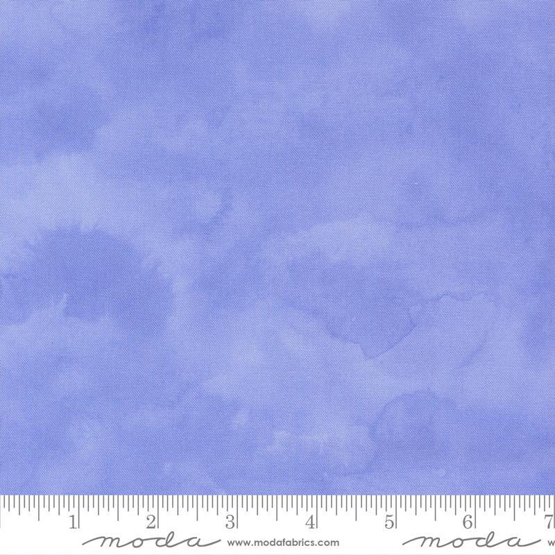 Delphinium Bluebell 66013