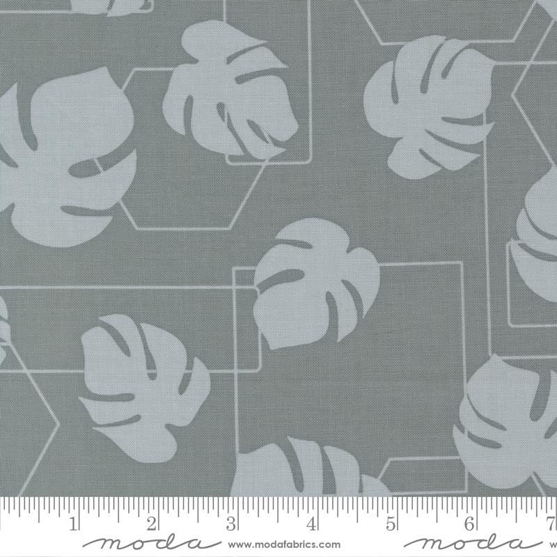 Potted Monstera Geo Ocean 5587