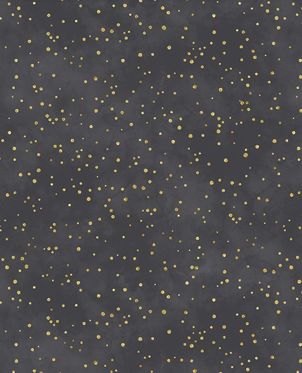 Sprinkles Black Fabric By Lakeside Art Studio