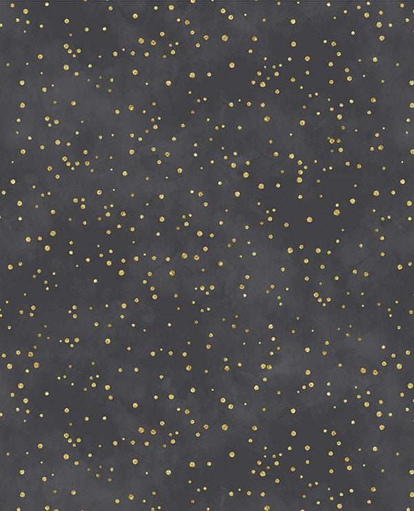 Sprinkles Black Fabric By Lakeside Art Studio