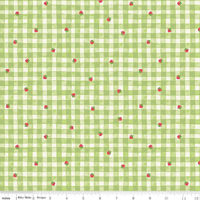 The World of Strawberry Shortcake Gingham Green