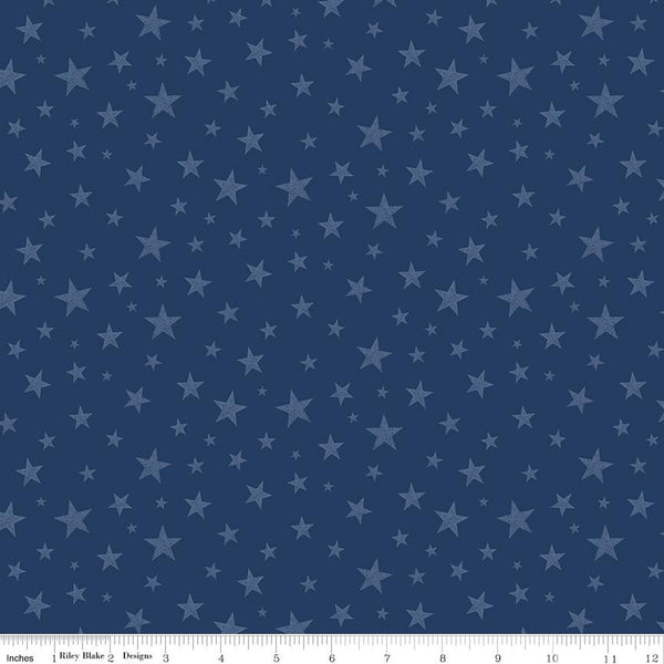 Valor Is Never Forgotten Stars Blue