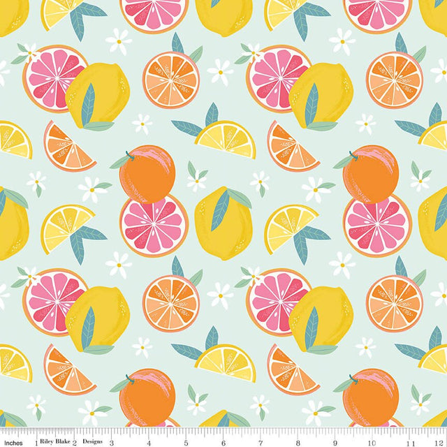 Citrus Kiss Main Mint Fabric From Riley Blake Designs