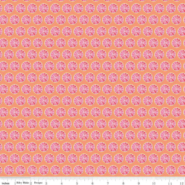 Citrus Kiss Fruit Slices Orange Fabric From Riley Blake Designs