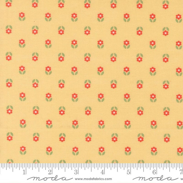 Sunroom Sunshine 29265 17 Moda #1