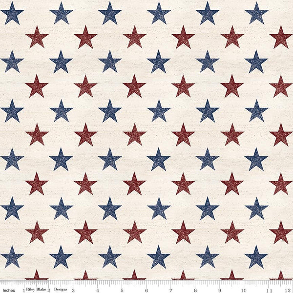 Valor Is Never Forgotten 107/108 Inch Wide Back Stars Multi